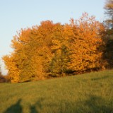 DSC07754