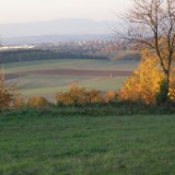 DSC07756