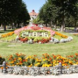 DSC08056