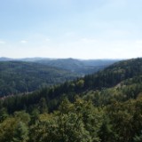 DSC08074