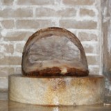 DSC08186