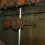 DSC08187