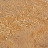 DSC08201