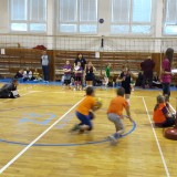 20160110 121803  IICSA   II