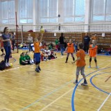 20160110 140359  IICSA