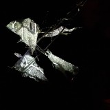 20161015 202700  IICSA   II