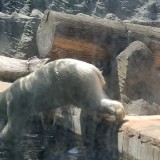 20170618 140211(0)  IICSA   II
