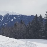 20190211 092234  IICSA   II