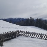 20190211 092239  IICSA   II