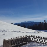 20190212 090613