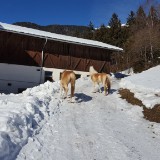 20190213 104417