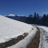 20190213 112948  IICSA   II