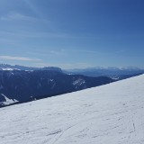 20190215 131331  IICSA   II