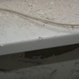 DSC09376