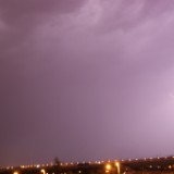 DSC06719