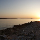 DSC08661