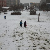 20160117 135242  IICSA   II