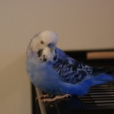 DSC00384