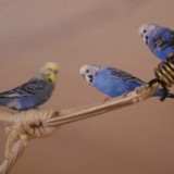 DSC00389