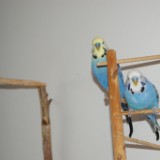 DSC00404