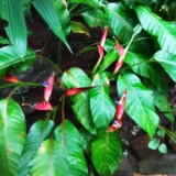 IMG 20170204 132952