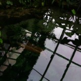 IMG 20170204 133018