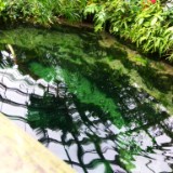 IMG 20170204 133042