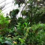 IMG 20170204 133051