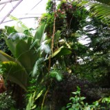 IMG 20170204 133217
