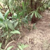 IMG 20170204 133515