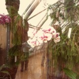 IMG 20170204 133603