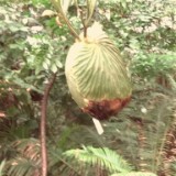 IMG 20170204 133846