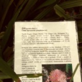 IMG 20170204 133900