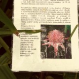 IMG 20170204 133902