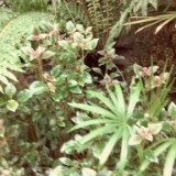 IMG 20170204 134100