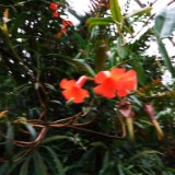 IMG 20170204 134204
