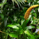 IMG 20170204 134230