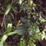 IMG 20170204 134240