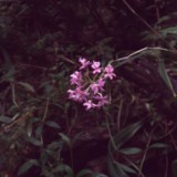IMG 20170204 134318