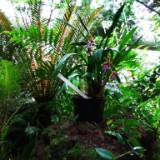 IMG 20170204 134422