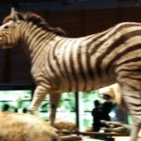 IMG 20170204 160143