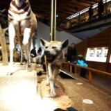IMG 20170204 160246
