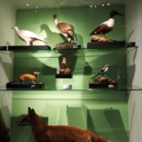 IMG 20170204 160350