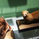 IMG 20170204 160422