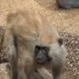 IMG 20170204 160638