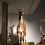 IMG 20170204 160827