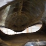 IMG 20170204 160954