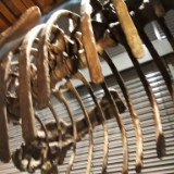 IMG 20170204 161047