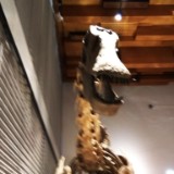IMG 20170204 161058