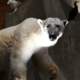 IMG 20170204 161118